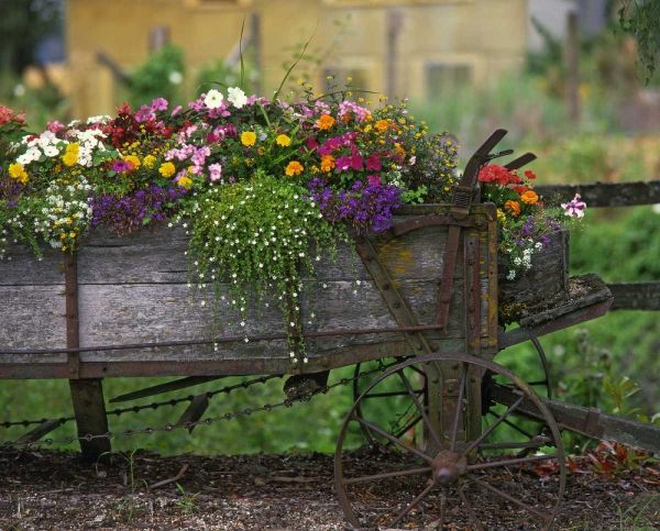 OR, Portland Farm spreader filled with flowers
